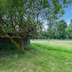 Forest Escape With Terrace Holiday home *