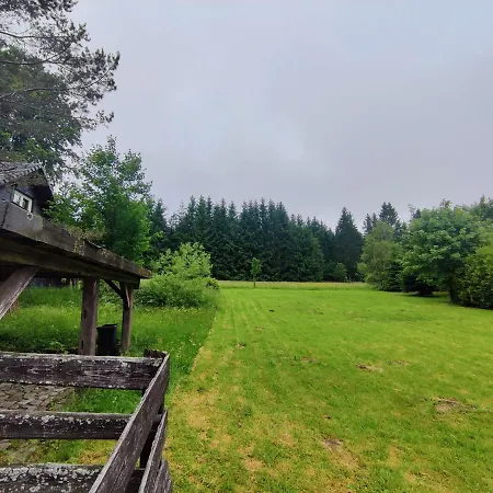 Forest Escape With Terrace Eisfeld