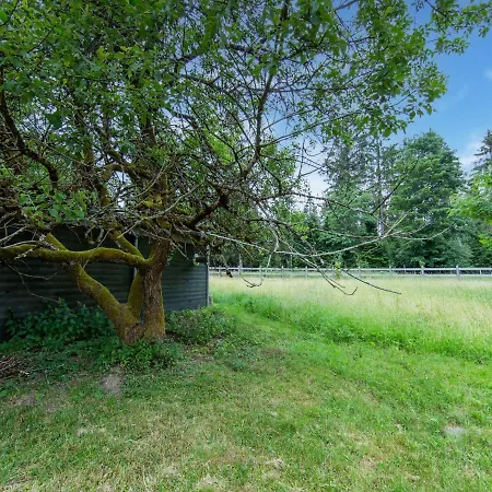 Forest Escape With Terrace Tatil Evi *