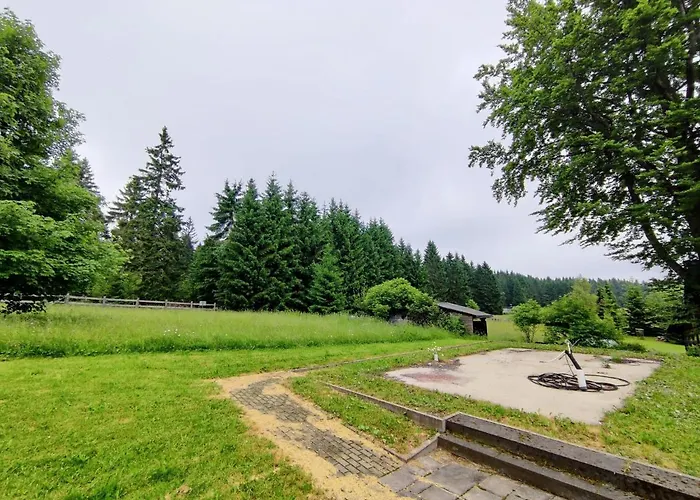 Vakantiehuis Forest Escape With Terrace