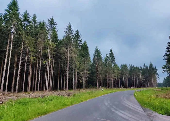 Forest Escape With Terrace Vakantiehuis