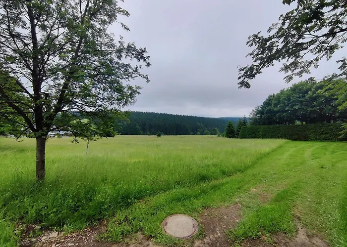 Forest Escape With Terrace Vakantiehuis Eisfeld