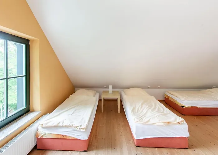 Vakantiehuis Forest Escape With Terrace