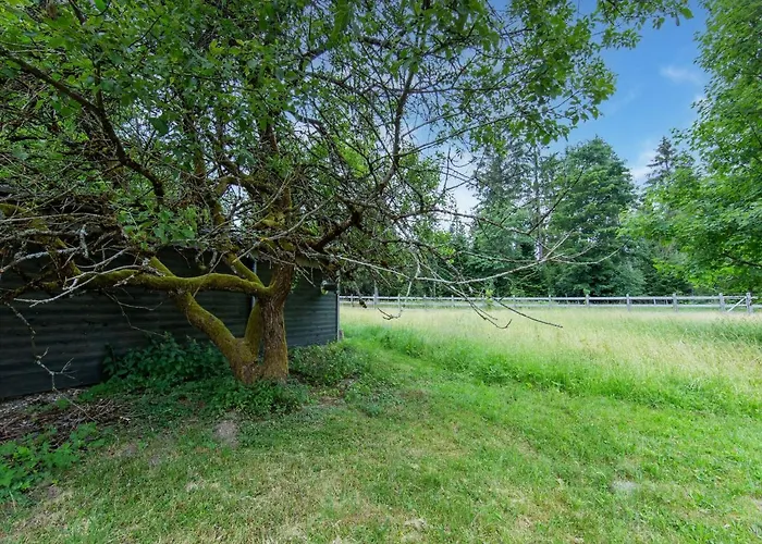 Forest Escape With Terrace Holiday home *