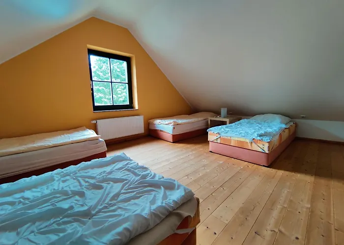 Vakantiehuis Forest Escape With Terrace