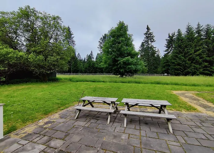 Forest Escape With Terrace Vakantiehuis Eisfeld